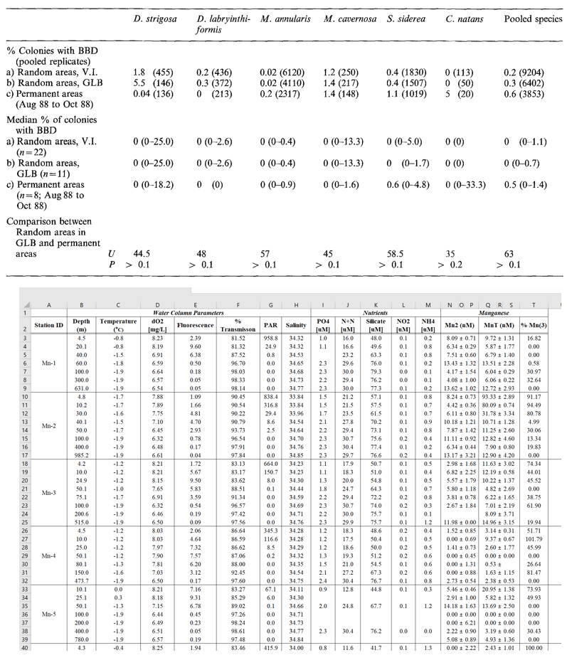 publication-layout